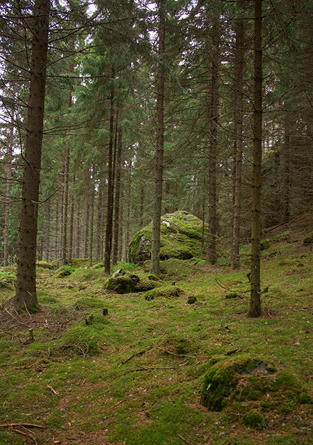 Waldbaden Erdung