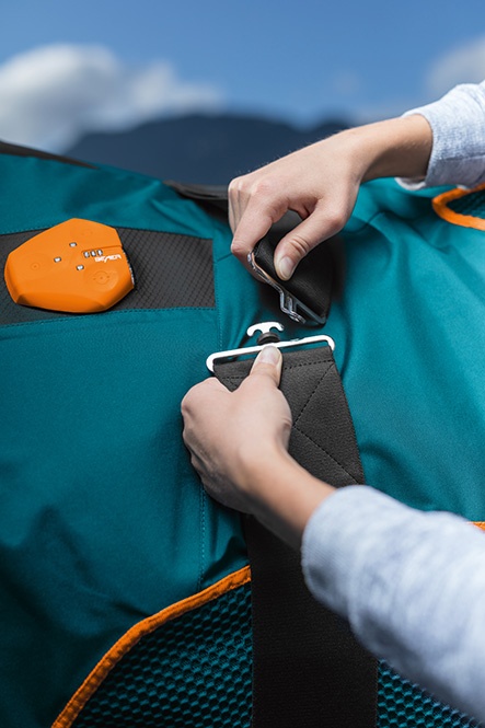 BEMER Horse Set - BEMER für Dein Pferd - Berlin - Zeuthen - Tanja Fischer