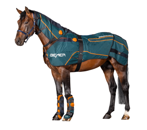 BEMER Horse Set für das Wohl Deines Pferdes - BEMER VETERINARY LINE